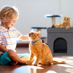 Pături & Mobilier, Animale de companie, Peșteri & Case, Pisici, Paturi pentru pisici, Pisici - culcusuri, saltele