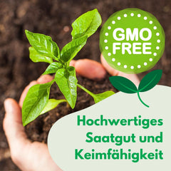 Cosmos Sensation Mix 1g nasion, Cosmos Mix Kwiaty letnie, Rośliny ogrodowe Rośliny balkonowe, Nasiona kwiatów