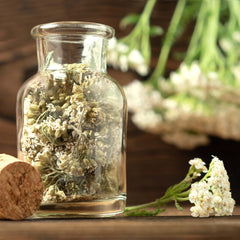 Zestaw nasion herbaty: 8 odmian nasion na balkon i do ogrodu - mięta, rumianek, anyż, pokrzywa, malwa - nasiona roślin - herbata - pudełko na herbatę - Rośliny OwnGrown