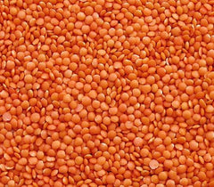 Linte roșie Seba Garden 1 kg – Linte integrală premium din Canada – Massor Dal, fără OMG, bogată în proteine, bogată în fibre – complet naturală, vegană, fără gluten, ideală pentru supe și curry