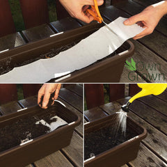 Kolorowa mieszanka kwiatów balkonowych - 2 wysokiej jakości maty z nasionami kwiatów balkonowych Łatwe w uprawie Letnie kwiaty i nasiona dzikich kwiatów z własnych upraw rocznych, przyjaznych dla owadów