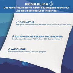 LINEA by Böhmerwald - Cosy - Pernă de înaltă calitate Balance, 40X80, 70% pene clasa 1, 30% puf nou, potrivit pentru alergici, lavabil până la 60°C, produs în Germania Perne standard Naty Shop