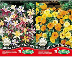Steinkraut Alyssum + Löwenmaul
