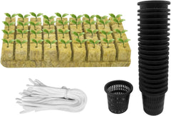 76 Stück Hydrokultur Pflanzen Net Kit -20 Stück 2inch(5cm)-Topfbecher mit geschlitztem Netz, 36Stück Steinwolle Anzucht, 20Stück Artikel Selbstbewässernde Dochtschnur aus Baumwolle für Hydrokultur