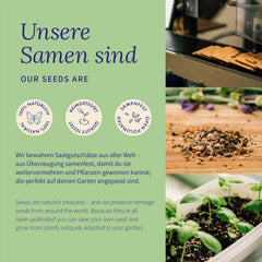 Magic Garden Seeds - Tomaten Raritäten Saatgut-Box Mit 9 Historischen Sorten - Bunte, Aromatische & Samenfeste Tomaten Für Garten, Hochbeet & Topf - Mit Geschichte & Geschmack