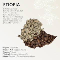 Boabe de cafea speciale Boconó, Etiopia, 250g, Proces de spălare, Cafea cereale, 100% Arabica, Espresso, Presă franceză, Trasabilitate completă, Cafea specială