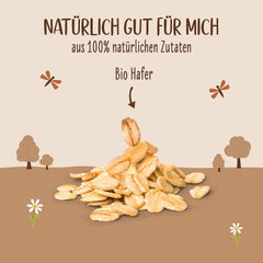 Allos Bio Haferdrink Barista | Milchalternative aus Hafer | Schaumbarer Drink auf Pflanzenbasis | Idealny do kawy Napój wegański, bez laktozy | 1 litr (6 sztuk)