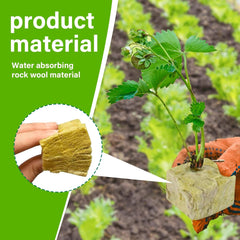 100 Stück Steinwolle Anzucht Würfel 2,5x2,5x2,5CM Kostka z wełny mineralnej Anzuchtmatte Steinwolle Anbau Hydrokultur Umpflanzen für Bodenlose Anzucht Setzlinge Stecklinge Klonpflanzen