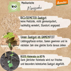Organiczne nasiona ogórka meksykańskiego Mini, 10 nasion ogórka przekąskowego, wysoka zdolność kiełkowania, certyfikat Demeter i zapylanie otwarte | LOVEPLANTS Balkon Ogród Podwyższone Nasiona Warzyw - Schedyczne Odmiany Warzyw