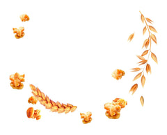 Dr. Oetker Vitalis Less Sweet Crunchy Pure: Chrupiące musli z 30% mniejszą ilością cukru, opakowanie 5 sztuk (5 x 600g)