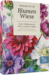 Magic Garden Seeds - Blumenwiese Samen Box Mit 12 Wildblumen - Insektenfreundliche & Pflegeleichte Blumen Für Bienen, Schmetterlinge, Garten & Balkon
