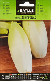 Batlle Gemüsesamen - Chicoree Sorte Brüssel (Samen)