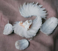 Dekoracja jadalna, chrzest, dziewczynka