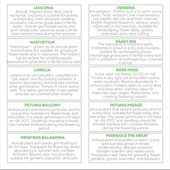 Zestaw nasion kwiatów Nojus-10 odmian nasion kwiatów-nasiona kwiatów balkonowych-kolorowe nasiona roślin-10 paczek-nasiona dzikich kwiatów-saszetki z nasionami kwiatów-idealny prezent z nasion kwiatów