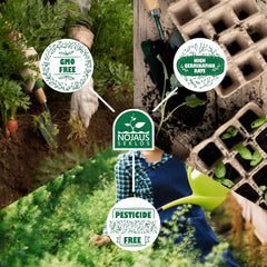 Zestaw nasion kwiatów Nojus-10 odmian nasion kwiatów-nasiona kwiatów balkonowych-kolorowe nasiona roślin-10 paczek-nasiona dzikich kwiatów-saszetki z nasionami kwiatów-idealny prezent z nasion kwiatów