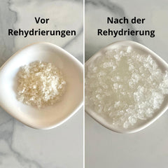 Natural Probio® Wasserkefir, Kefirpilz, Japankristalle, Kefirknollen, Zestaw startowy + Anleitung, Rezept, Tipps, E-Book i Rezeptbibliothek + Kundenservice auf Lebenszeit (10g odwodnionego/60g nawodnionego)