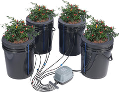 Sistem de creștere hidroponică VEVOR DWC, sisteme de creștere hidroponică cu kit de picurare în ghiveci, cultură în apă adâncă, 4 găleți de 20 l, cu pompă de aer, pietre de aer și indicator al nivelului apei pentru legume cu frunze verzi