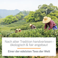 Ceai Oolong Ti Guan Yin Bio 100 g - Ceai Oolong de înaltă calitate, din China, de calitate bio - Wu Long (grad ceremonial) - Pentru iubitorii și cunoscătorii de ceai - Mycupoftea