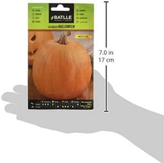 Batlle Gemüsesamen - Halloween Kürbis (6G Samen)