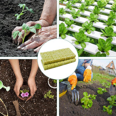 100 Stück Steinwolle Anzucht Würfel 2,5x2,5x2,5CM Kostka z wełny mineralnej Anzuchtmatte Steinwolle Anbau Hydrokultur Umpflanzen für Bodenlose Anzucht Setzlinge Stecklinge Klonpflanzen