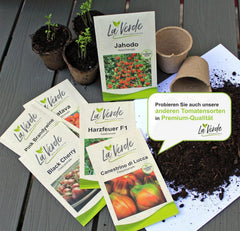 La Verde MEIN GARTEN UND ICH. Mini Tomatensamen Für Ca. 10 Pflanzen, Robuste Cherrytomate, Süß-Fruchtige Früchte, Saatgut Ohne Gentechnik