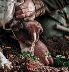 - Koncentrat o smaku czarnej trufli 30 ml, do użytku profesjonalnego Arome Naty Shop