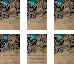 Nasze ulubione rośliny: byliny i kwiaty letnie dla miłośników kwiatów (organiczne) - zestaw upominkowy z nasionami zawierający 6 uroczych odmian zapewniających dziką eksplozję kwiatów - sprawi, że będziesz szczęśliwy!