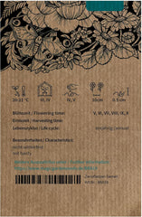 Stokrotka niebieska (Brachyscome iberidifolia) ok. 500 nasion rocznego kwiatu balkonowego, długo kwitnącej rośliny doniczkowej, letniego kwiatu