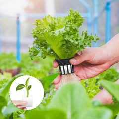 Wełna mineralna, wełna mineralna do rozmnażania, 2 szt., gąbka hydroponiczna, 200 szt. Po cięciu - alternatywa dla szklarni, kiełkowania nasion i warzyw domowych