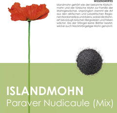 Amestec de semințe de mac islandez (Papaver nudicaule) - Maci cu înflorire frumoasă, cu o perioadă lungă de înflorire, pentru o pajiște cu flori colorate (mac islandez)