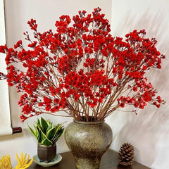 Chamelaucium Uncinatum - Winterharte Kübelpflanzen Luftreinigende Zimmerpflanzen Bonsaibaum Kletterpflanzen Blumensamen Gastgeschenk Hecken Sträucher Winterhart Blühend Schnell 25Samen