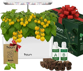 Nowy most 7 + pamiątkowa bazylia | Inteligentny ogród dla domowych kucharzy | System uprawy hydroponicznej | Światła LED do uprawy | Zestaw do ogrodnictwa ziołowego dla miłośników roślin i ogrodników, biały