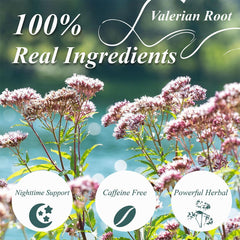 WEETEE Ceai de valeriană, 228 g Ceai din rădăcină de valeriană Frunze întregi, fabricat din rădăcină de valeriană tăiată și cernută, pentru preparare acasă, ceai din plante natural fără cofeină