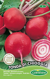 Rode Bete TONDA DI CHIOGGIA