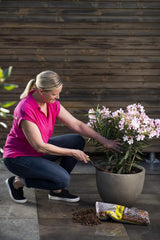 Granulat gliny ekspandowanej Floragard 50 L - naturalny materiał drenażowy i podłoże hydroponiczne do doniczek, wanien, roślin doniczkowych i donic - zapobiega gromadzeniu się wody, zapewnia dobre napowietrzenie