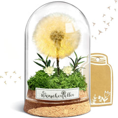 Wunscherfüller Mit LED Licht, Echte Pusteblume Im Glass, Ewig Geburtstagsgeschenk Für Frauen Freundin Mädchen Geschenke Für Geburtstag Hochzeit Jugendweihe Weihnachten Valentinstag