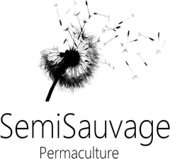 25 nasion dla Papes - starożytna roślina kwitnąca w ogrodzie - powtarzalne nasiona dla rolników, półdzikie