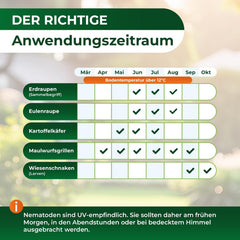 Legona Sc-Nematoden Zur Bekämpfung Von Maulwurfsgrillen - 50 Mio. Für 100M² / 250L Blumenerde/Bio Schädlingsfrei Gießmittel Für Rasen Und Beet