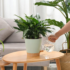 Ghivece de flori, 6 bucăți, 12,7 cm, jardiniere cu auto-udare, drenaj ridicat, ghivece de flori pentru interior și exterior, cu tavă rezervor și margine de udare, jardinieră de grădină, grădină