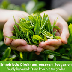 Goodwei Sencha Ceai verde organic Four Seasons - Ceai verde aromat, ușor amar, 250 g