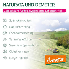 Organiczne arkusze lasagne w całości orkiszowej, 250g | Zaklęcie Demeter z Alp Szwabskich | Delikatny orzechowy aromat do lasagne i zapiekanek