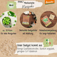 Organiczne nasiona ogórka meksykańskiego Mini, 10 nasion ogórka przekąskowego, wysoka zdolność kiełkowania, certyfikat Demeter i zapylanie otwarte | LOVEPLANTS Balkon Ogród Podwyższone Nasiona Warzyw - Schedyczne Odmiany Warzyw