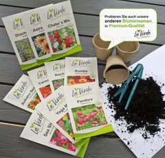 La Verde MÓJ OGRÓD I JA. Tagetes Bonita Mieszanka nasion kwiatów przez ok. 100 roślin, długo kwitnące nagietki, kwiaty pełne, nasiona bez GMO