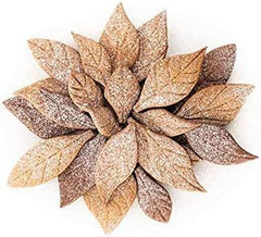 Silikomart, Voila Cookie Leaves, 240mm X 150mm, wysokość 20mm Kuchnia Naty Shop