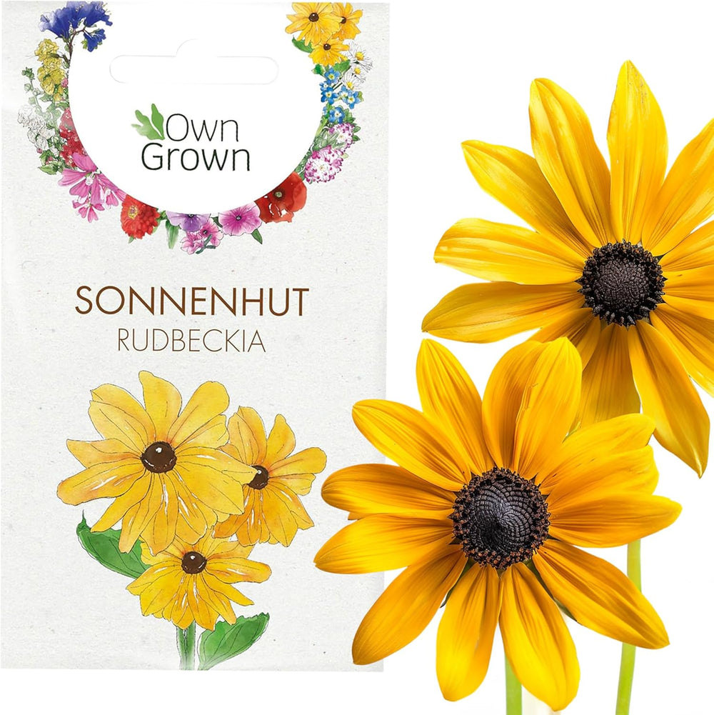Nasiona Echinacei: Wysokiej jakości nasiona żółtej Echinacei na około 20 kwitnących roślin Echinacei – Nasiona Rudbekii – Hardy Rudbeckia – Echinacea Bylina – Hardy Bylina od OwnGrown