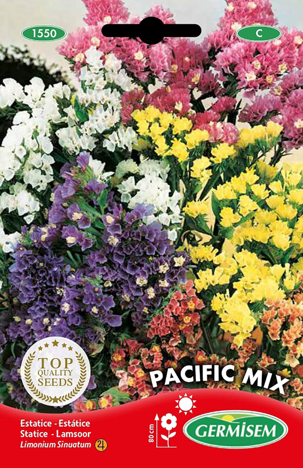 Statyczny, wielokolorowy, EC1550