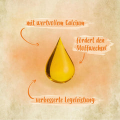 Ida Plus - GoldenEgg 200 ml - zredukowany Brucheier & Federfressen - wspierany Federwachstum & Federkleid - Wichtige Mineralien & Vitamine für Hühner - Beste Eierqualität bei Ihrer Hühnerhaltung