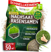 Terrauno - Rasensamen Schnellkeimend I Nachsaat Rasen I Extrem Hohe Keimrate I 1 Kg Für 50 M² I Rasensamen Trockenresistent Zur Schnellen Lückenschließung I Rasennachsaat RSM Qualität