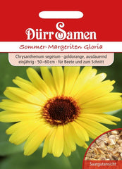 Dürr Samen 1937 Sommermargeriten Gloria (Sommermargeritensamen)