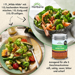 Herbaria Wilde Hilde bio 100g M-Dose-fertige Bio-Gewürzmischung - Saladgewürz für ausgefeilte Salade - mit erlesenen Składnik - w nachhaltiger Aromaschutz-Dose